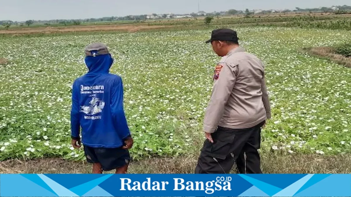 Polsek Tikung bersama warga memonitor lahan pertanian di Kecamatan Tikung, Selasa (18/8/2026). (Foto Dok Ho/RadarBangsa.co.id)