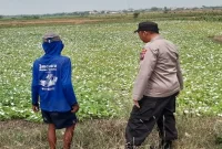 Polsek Tikung bersama warga memonitor lahan pertanian di Kecamatan Tikung, Selasa (18/8/2026). (Foto Dok Ho/RadarBangsa.co.id)