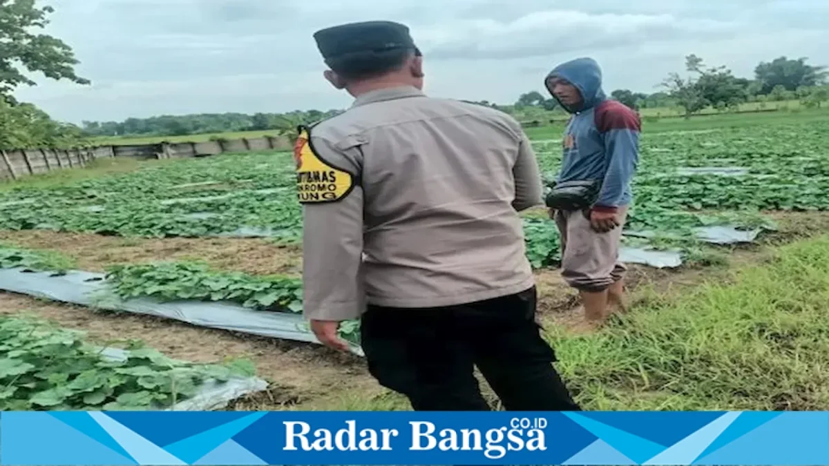 Anggota Polsek Tikung bersama warga melakukan monitoring lahan tanaman pangan di Desa Wonokromo, Kecamatan Tikung, Kabupaten Lamongan, Kamis (13/8/2026). (Foto Dok Ho/RadarBangsa.co.id)