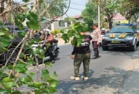 Petugas Polsek Tikung bersama Pamapta Polres Lamongan dan Satpol PP saat memotong pohon waru yang berpotensi tumbang di Jalan Raya Embong Joto, Desa Jotosanur, Kecamatan Tikung, Lamongan, Jumat (14/8/2026). (Foto Dok Ho/RadarBangsa.co.id)