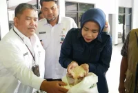 Wabup Sidoarjo Hj. Mimik Idayana saat menyalurkan bantuan beras kepada warga, Rabu (9/9/2026). (Foto Dok Ho/RadarBangsa.co.id)