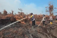 Tim gabungan memadamkan karhutla di Kelurahan Kerumutan, Kamis (3/9/2026). (Foto Dok Ho/RadarBangsa.co.id)