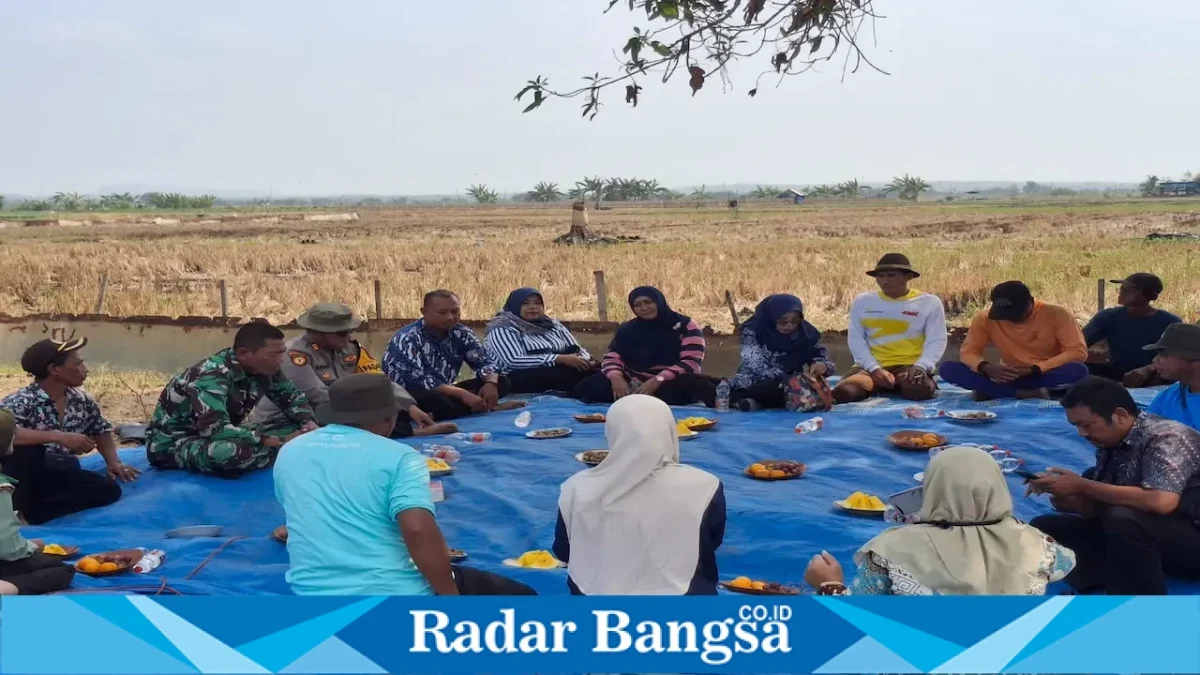 Panen raya bawang merah di Desa Pelangwot, Kecamatan Laren, Lamongan, Kamis (10/9/2026). (Foto Dok Ho/RadarBangsa.co.id)