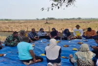 Panen raya bawang merah di Desa Pelangwot, Kecamatan Laren, Lamongan, Kamis (10/9/2026). (Foto Dok Ho/RadarBangsa.co.id)