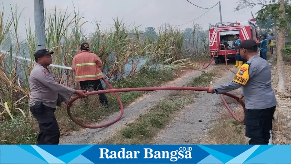 Petugas Polsek Sambeng bersama Damkar Ngimbang memadamkan kebakaran lahan tebu di Pataan, Lamongan, Sabtu (12/9/2026). (Foto Dok Ho/RadarBangsa.co.id)