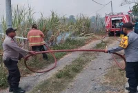 Petugas Polsek Sambeng bersama Damkar Ngimbang memadamkan kebakaran lahan tebu di Pataan, Lamongan, Sabtu (12/9/2026). (Foto Dok Ho/RadarBangsa.co.id)