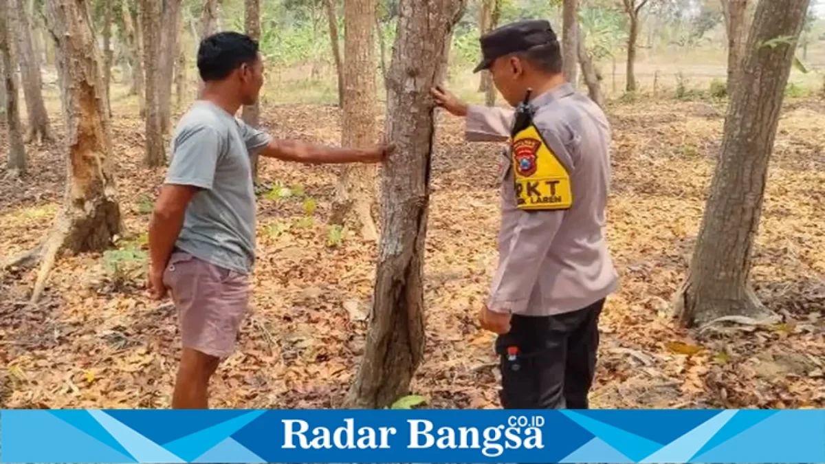 Petugas patroli di area hutan Desa Gampangsejati untuk mengantisipasi Karhutla, Minggu (20/9/2026). (Dok. Ho/RadarBangsa.co.id)