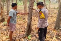 Petugas patroli di area hutan Desa Gampangsejati untuk mengantisipasi Karhutla, Minggu (20/9/2026). (Dok. Ho/RadarBangsa.co.id)