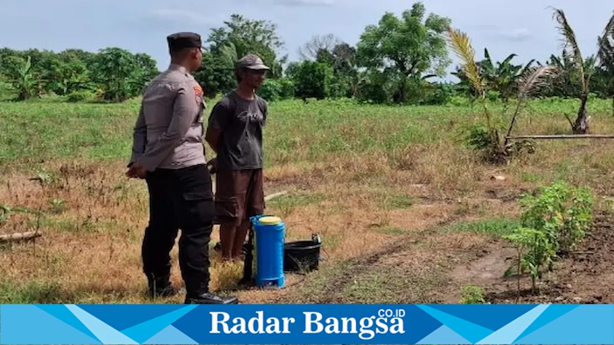 Polmas Polsek Laren saat mengecek lahan cabai rawit milik warga di Desa Gampangsejati, Lamongan, Sabtu (5/9/2026). (Foto Dok Ho/RadarBangsa.co.id)