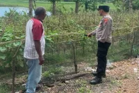 Polisi mengecek perkembangan tanaman tomat milik petani di Desa Pelangwot, Kecamatan Laren, Lamongan, Minggu (13/9/2026). (Foto Dok Ho/RadarBangsa.co.id)