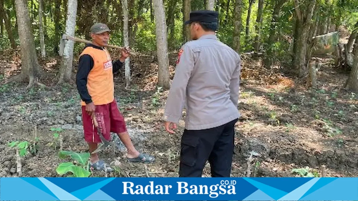 Petugas memantau kawasan hutan Desa Gampangsejati dalam patroli pencegahan Karhutla, Kamis (10/9/2026). (Foto Dok Ho/RadarBangsa.co.id)