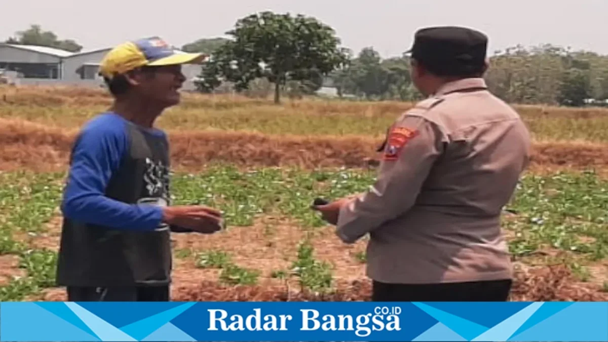 Aiptu Abdul Kholiq bersama warga saat memantau lahan pertanian yang memasuki masa panen biji kangkung di Dusun Tlogogede, Senin (14/9/2026). (Dok. Ho/RadarBangsa.co.id)