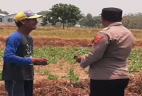 Aiptu Abdul Kholiq bersama warga saat memantau lahan pertanian yang memasuki masa panen biji kangkung di Dusun Tlogogede, Senin (14/9/2026). (Dok. Ho/RadarBangsa.co.id)