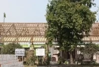 Proyek revitalisasi SDN Karangbinangun Lamongan yang bersumber dari APBN 2026 menjadi sorotan. (Foto Dok Ho/RadarBangsa.co.id)