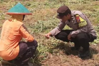 Polsek Tikung memantau lahan pertanian warga yang memasuki masa panen kangkung di Dusun Pilanggot, Desa Wonokromo, Lamongan, Rabu (23/9/2026). (Dok. Ho/RadarBangsa.co.id).