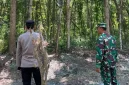 Petugas Polsek Laren dan Koramil 0812/19 melakukan patroli di kawasan hutan Gampangsejati, Lamongan, Rabu (16/9/2026). (Dok. Ho/RadarBangsa.co.id)