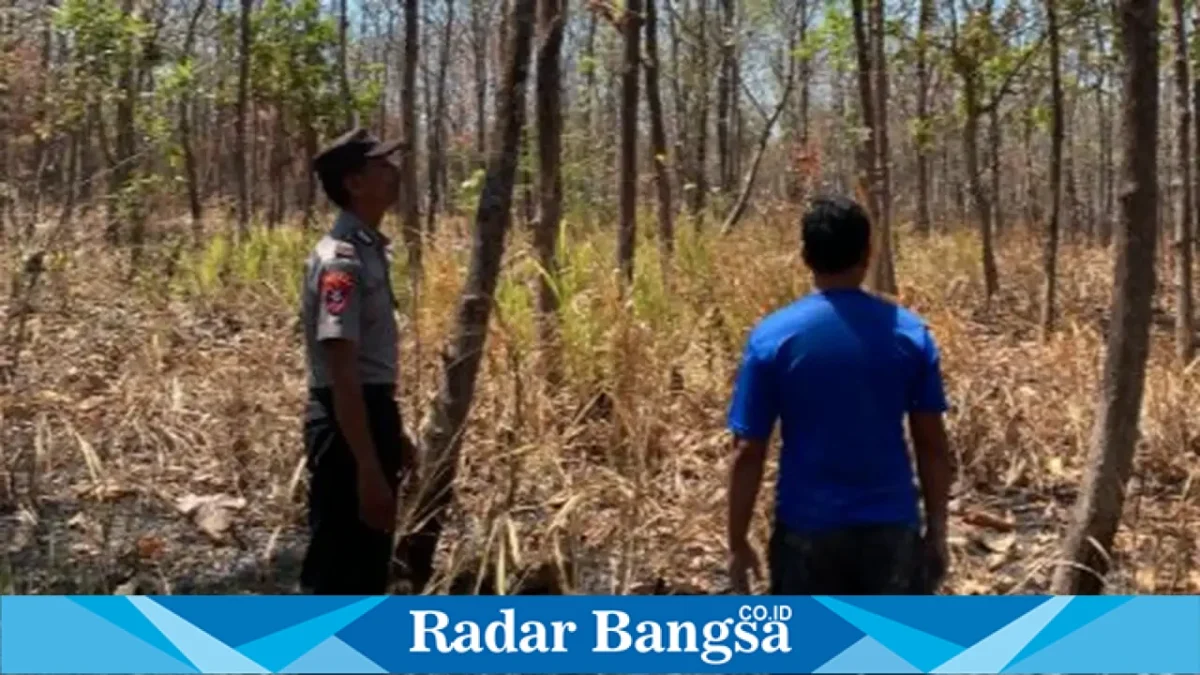Petugas Polsek Laren saat melaksanakan patroli pencegahan Karhutla di kawasan hutan Desa Gampangsejati, Senin (21/9/2026). (Dok. Ho/RadarBangsa.co.id)