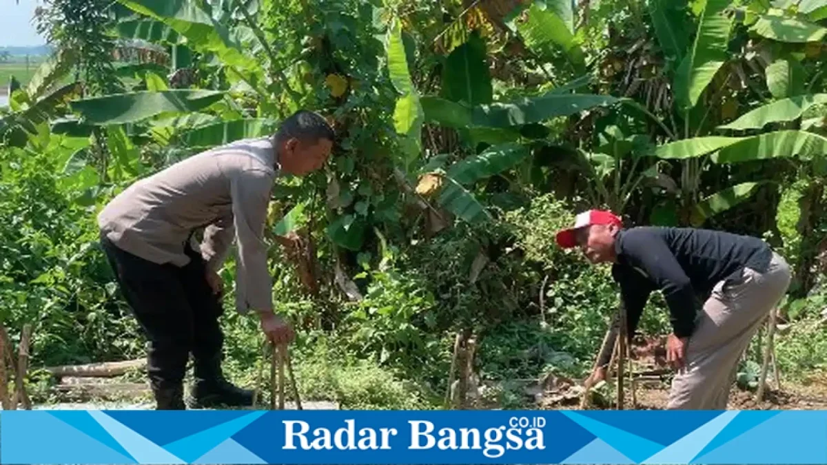 Personel Polsek Laren mendampingi petani mengecek tanaman terong di Desa Pelangwot, Kecamatan Laren, Kabupaten Lamongan, Jumat (25/9/2026). (Dok. Ho/RadarBangsa.co.id)
