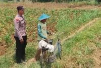 Personel Polsek Laren mengecek lahan cabai rawit petani di Desa Gampangsejati, Lamongan, Kamis (17/9/2026). (Dok. Ho/RadarBangsa.co.id)