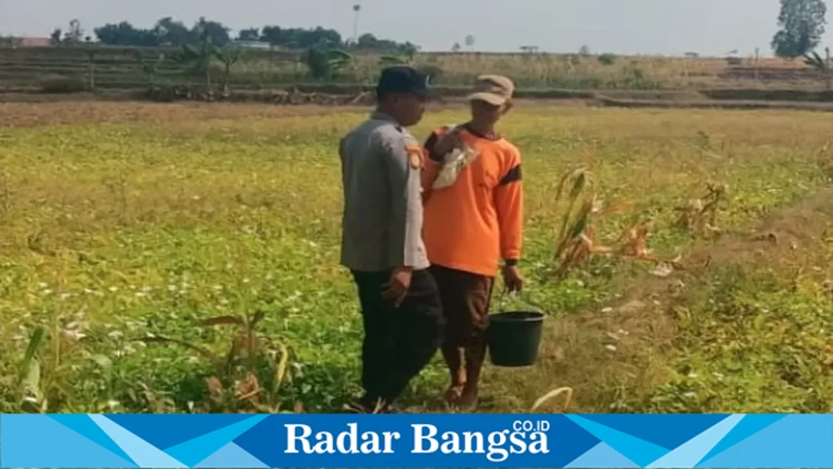 Polsek Tikung memantau lahan tanaman kangkung milik warga di Desa Bakalanpule, Kecamatan Tikung, Kabupaten Lamongan, Minggu (27/9/2026).