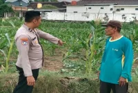 AIPDA Yateno saat memonitor lahan tanaman jagung warga di Desa Guminingrejo, Kecamatan Tikung, Lamongan, Rabu (16/9/2026). (Dok. Ho/RadarBangsa.co.id)