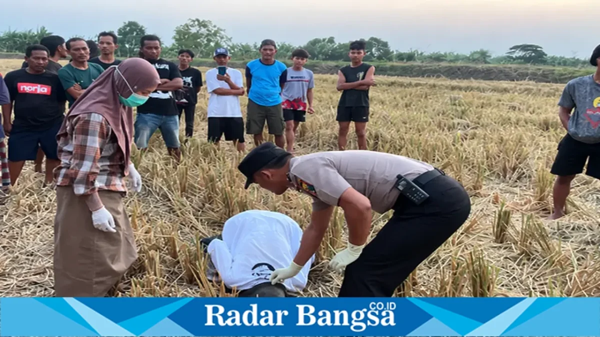 Petugas saat melakukan penanganan terhadap peristiwa meninggalnya pria 76 tahun di area persawahan Desa Brangsi, Kecamatan Laren, Lamongan, Senin (28/9/2026). (Dok. Ho/RadarBangsa.co.id)