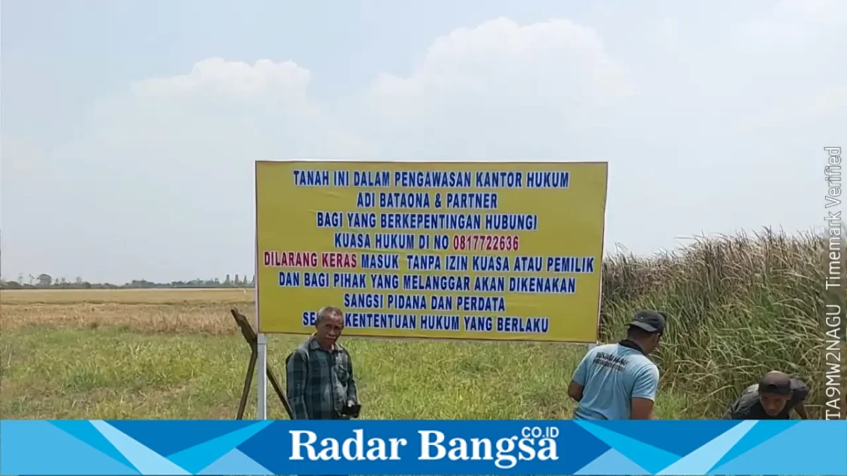 Lahan sawah seluas 3.653 meter persegi di Desa Warukulon, Kecamatan Pucuk, Lamongan, yang menjadi objek sengketa. (Dok. Ho/RadarBangsa.co.id)
