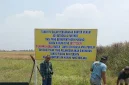 Lahan sawah seluas 3.653 meter persegi di Desa Warukulon, Kecamatan Pucuk, Lamongan, yang menjadi objek sengketa. (Dok. Ho/RadarBangsa.co.id)