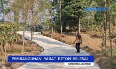 Jalan Beton 630 Meter di Kalices Tuntas, Jawab Keluhan Akses Petani Kopi