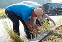 Bupati Bangkalan Lukman Hakim bersama ASN, masyarakat, dan pelajar melaksanakan kerja bakti serta penanaman pohon di kawasan Kinibalu, Desa Mlajah, Kecamatan Bangkalan, Jumat (16/10/2026). (Dok. Ho/RadarBangsa.co.id)