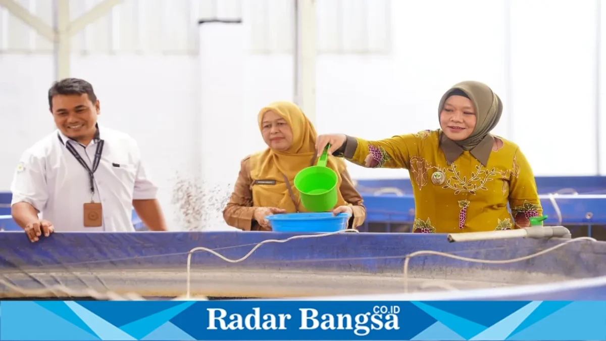 Wakil Wali Kota Probolinggo Ina Dwi Lestari bersama jajaran meninjau kolam terpal budidaya ikan lele di KKMP Pakistaji, Selasa (13/10). (Dok. Ho/RadarBangsa.co.id)