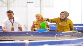 Wakil Wali Kota Probolinggo Ina Dwi Lestari bersama jajaran meninjau kolam terpal budidaya ikan lele di KKMP Pakistaji, Selasa (13/10). (Dok. Ho/RadarBangsa.co.id)