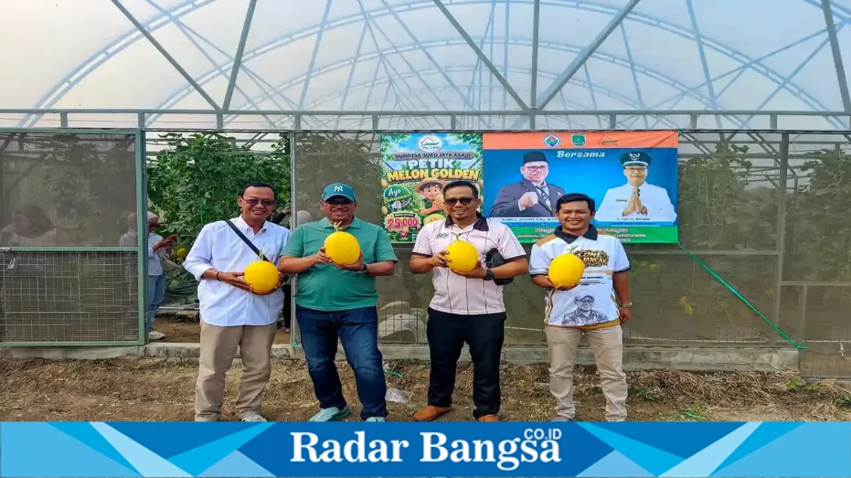 Ketua DPRD Kabupaten Pasuruan Samsul Hidayat meninjau dan mencicipi melon hasil budidaya BUMDes Suko Jaya Abadi di Desa Sumbersuko, Kecamatan Gempol, Rabu (21/10/2026). (Dok. Ho/RadarBangsa.co.id)