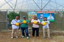 Ketua DPRD Kabupaten Pasuruan Samsul Hidayat meninjau dan mencicipi melon hasil budidaya BUMDes Suko Jaya Abadi di Desa Sumbersuko, Kecamatan Gempol, Rabu (21/10/2026). (Dok. Ho/RadarBangsa.co.id)
