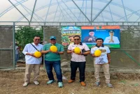 Ketua DPRD Kabupaten Pasuruan Samsul Hidayat meninjau dan mencicipi melon hasil budidaya BUMDes Suko Jaya Abadi di Desa Sumbersuko, Kecamatan Gempol, Rabu (21/10/2026). (Dok. Ho/RadarBangsa.co.id)