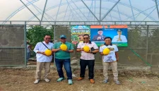 Ketua DPRD Kabupaten Pasuruan Samsul Hidayat meninjau dan mencicipi melon hasil budidaya BUMDes Suko Jaya Abadi di Desa Sumbersuko, Kecamatan Gempol, Rabu (21/10/2026). (Dok. Ho/RadarBangsa.co.id)
