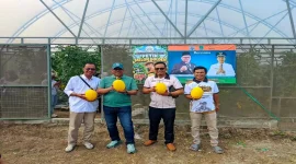 Ketua DPRD Kabupaten Pasuruan Samsul Hidayat meninjau dan mencicipi melon hasil budidaya BUMDes Suko Jaya Abadi di Desa Sumbersuko, Kecamatan Gempol, Rabu (21/10/2026). (Dok. Ho/RadarBangsa.co.id)