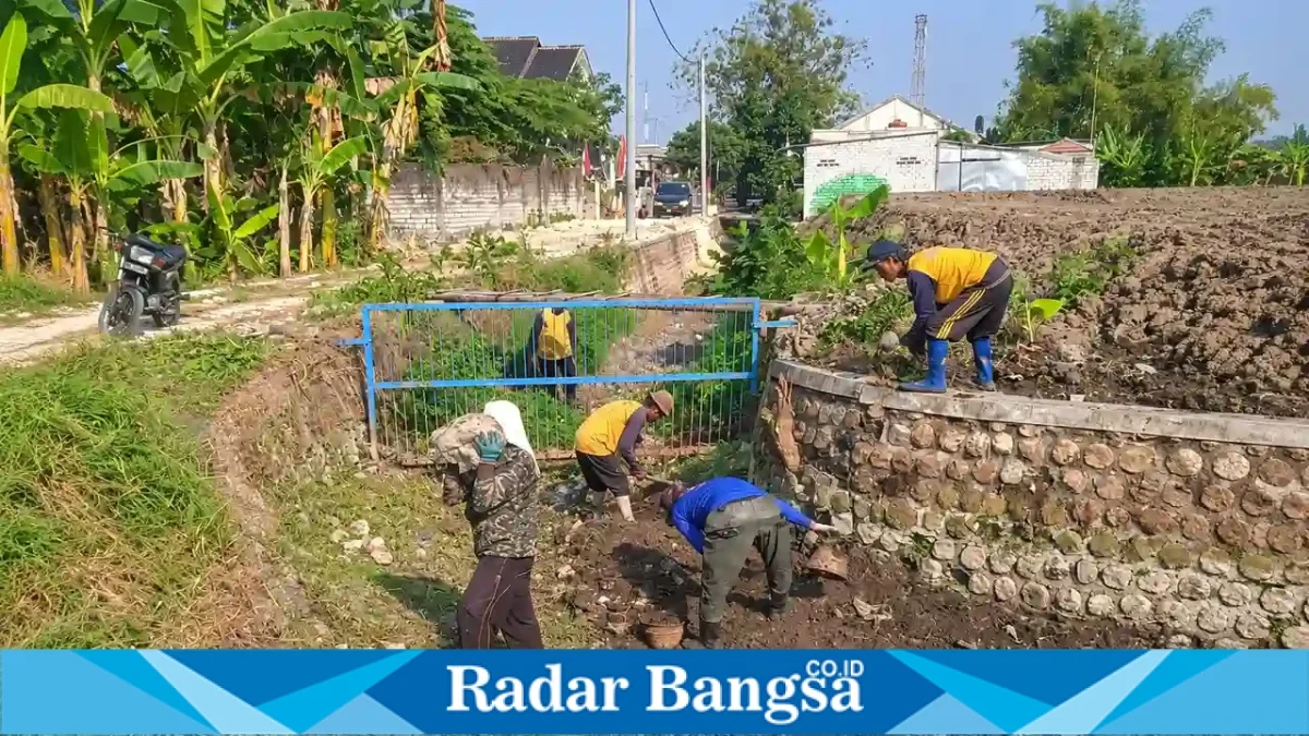 Petugas membersihkan saluran air dalam program Gempur Saloka 2026 di Kabupaten Lamongan. Selasa, 27 Oktober 2026 (Foto Ho/RadarBangsa.co.id).