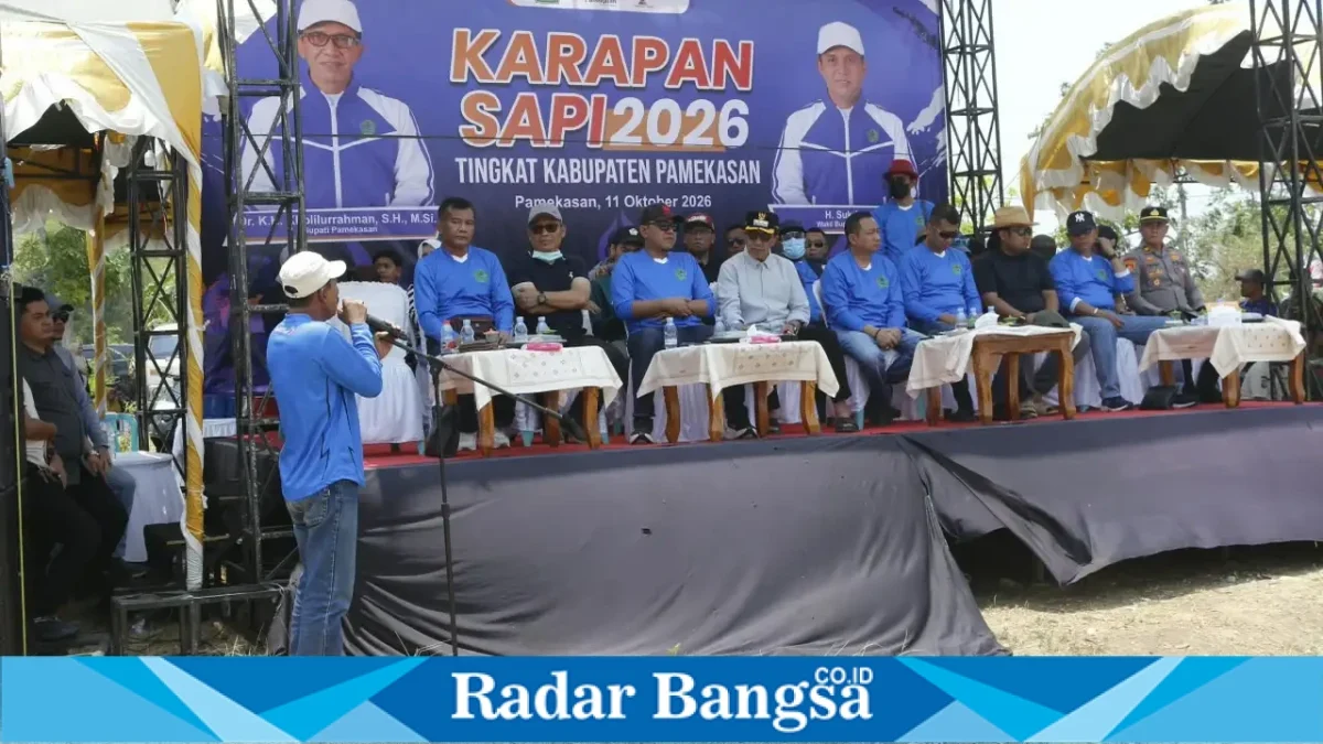 Pelaksanaan Karapan Sapi Tingkat Kabupaten Pamekasan 2026 di Lapangan Karapan Sapi Desa Murtajih, Kecamatan Pademawu, Minggu (11/10/2026). (Dok. Ho/RadarBangsa.co.id)