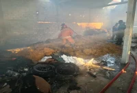 Petugas saat memadamkan kebakaran gudang tembakau di Desa Ganggangtingan, Ngimbang, Lamongan, Rabu (30/9/2026). (Dok. Ho/RadarBangsa.co.id)