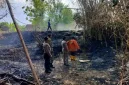 Petugas bersama warga menangani kebakaran lahan di wilayah Kecamatan Kedungpring, Kabupaten Lamongan, Kamis (22/10/2026). (Dok Ho/RadarBangsa.co.id)