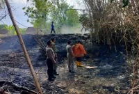 Petugas bersama warga menangani kebakaran lahan di wilayah Kecamatan Kedungpring, Kabupaten Lamongan, Kamis (22/10/2026). (Dok Ho/RadarBangsa.co.id)