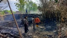 Petugas bersama warga menangani kebakaran lahan di wilayah Kecamatan Kedungpring, Kabupaten Lamongan, Kamis (22/10/2026). (Dok Ho/RadarBangsa.co.id)