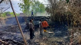 Petugas bersama warga menangani kebakaran lahan di wilayah Kecamatan Kedungpring, Kabupaten Lamongan, Kamis (22/10/2026). (Dok Ho/RadarBangsa.co.id)
