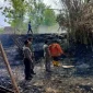 Petugas bersama warga menangani kebakaran lahan di wilayah Kecamatan Kedungpring, Kabupaten Lamongan, Kamis (22/10/2026). (Dok Ho/RadarBangsa.co.id)