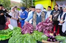 Gubernur Jawa Timur Khofifah Indar Parawansa saat meninjau Program SIKAP di SMKN 2 Pacitan, Kamis (22/10/2026). (Dok. Ho/RadarBangsa.co.id)