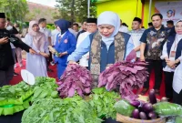 Gubernur Jawa Timur Khofifah Indar Parawansa saat meninjau Program SIKAP di SMKN 2 Pacitan, Kamis (22/10/2026). (Dok. Ho/RadarBangsa.co.id)