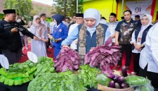 Gubernur Jawa Timur Khofifah Indar Parawansa saat meninjau Program SIKAP di SMKN 2 Pacitan, Kamis (22/10/2026). (Dok. Ho/RadarBangsa.co.id)