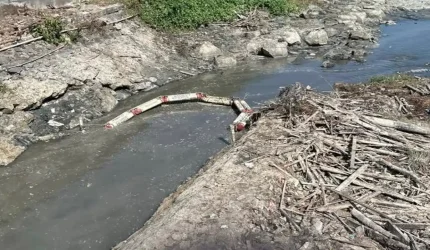 Petugas gabungan membersihkan tumpukan sampah di kawasan muara Sungai Kalimati, Desa Kedungrejo, Muncar, Banyuwangi.