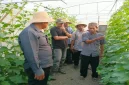 Kegiatan Ngaji Tani Hortikultura yang digelar LPPNU PCNU Lamongan di lahan hortikultura Desa Banjarwati, Kecamatan Paciran, Sabtu (31/10/2026). ( Foto Ho/RadarBangsa.co.id)